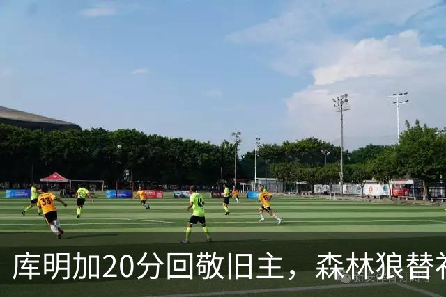 库明加20分回敬旧主，森林狼替补席却冲戈贝尔开火