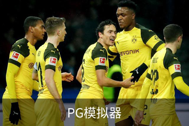 PG模拟器公司简介